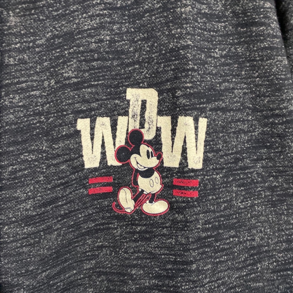 Walt Disney World Zipper Hoodie